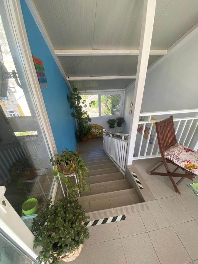 Crazy House * Pola